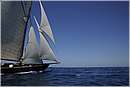 asw08_G814682.jpg