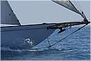 asw08_G814695.jpg