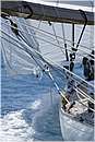 asw08_G814761.jpg