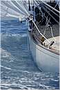 asw08_G814765.jpg