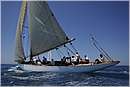 asw08_G814785.jpg