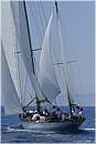 asw08_G814834.jpg