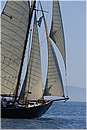 asw08_G815074.jpg
