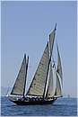 asw08_G815075.jpg