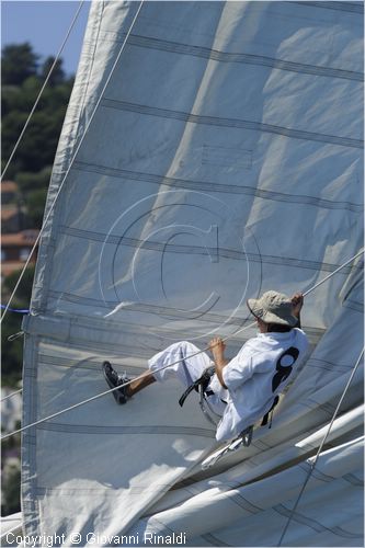 asw08_G815351.jpg