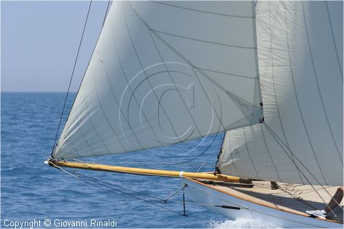 asw08_G815538.jpg
