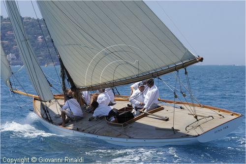 asw08_G815543.jpg