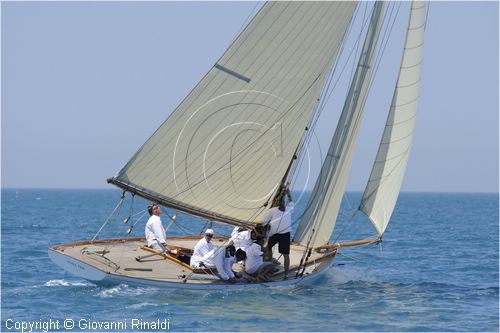 asw08_G815585.jpg