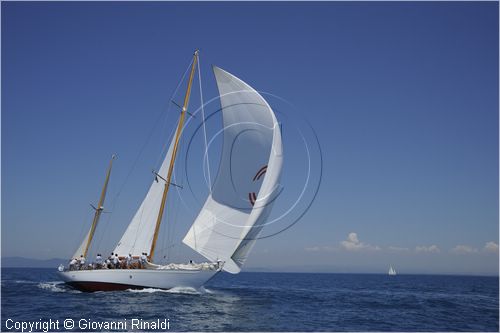 asw08_G815671.jpg
