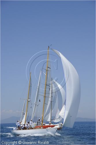 asw08_G815705.jpg