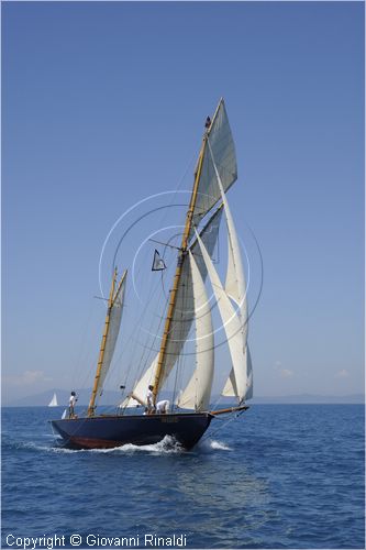 asw08_G815713.jpg