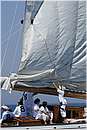 asw08_G815338.jpg