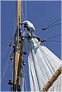 asw08_G815381.jpg