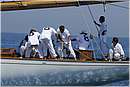asw08_G815399.jpg
