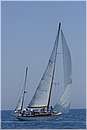 asw08_G815493.jpg