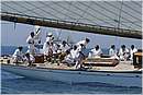 asw08_G815511.jpg