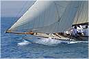 asw08_G815527.jpg