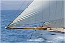 asw08_G815535.jpg