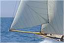 asw08_G815538.jpg