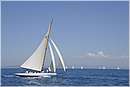 asw08_G815637.jpg