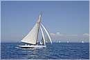 asw08_G815638.jpg