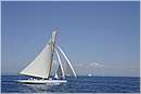 asw08_G815640.jpg