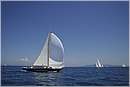 asw08_G815653.jpg