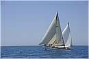 asw08_G815677.jpg