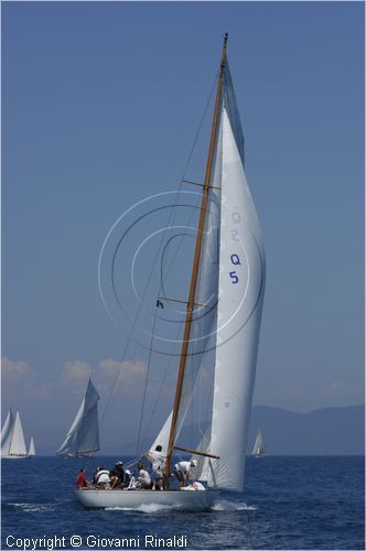 asw08_GIO0502.jpg