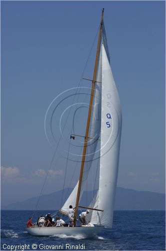 asw08_GIO0504.jpg