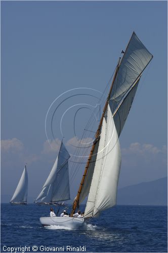 asw08_GIO0513.jpg