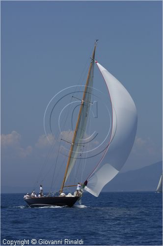 asw08_GIO0519.jpg