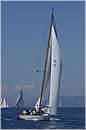 asw08_GIO0502.jpg