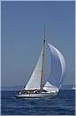 asw08_GIO0508.jpg