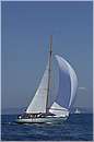 asw08_GIO0509.jpg