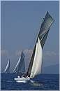 asw08_GIO0513.jpg