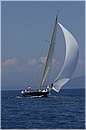 asw08_GIO0517.jpg