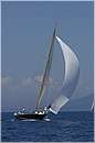 asw08_GIO0519.jpg