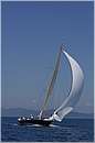 asw08_GIO0529.jpg