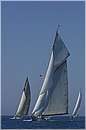 asw08_GIO0564.jpg
