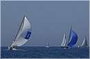 asw08_GIO0565.jpg