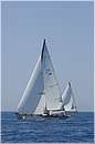 asw08_GIO0580.jpg