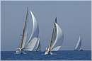 asw08_GIO0614.jpg