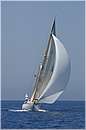 asw08_GIO0623.jpg