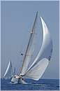 asw08_GIO0625.jpg