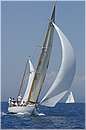 asw08_GIO0631.jpg