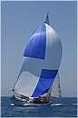 asw08_GIO0673.jpg