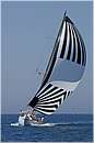 asw08_GIO0704.jpg