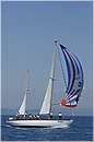 asw08_GIO0730.jpg