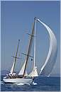 asw08_GIO0741.jpg